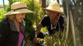 Host Nan Sterman (left) visits a variety of community gardens and celebrate the communities that thrive in these shared spaces.