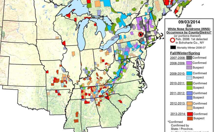 The first case of white nose syndrome was found in Schoharie, N.Y. This map shows the cases detected since then. To enlarge, click here.
