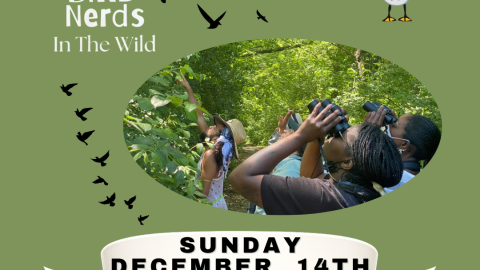 Harriet Tubman Trail – SOCal Bird Nerds in the Wild