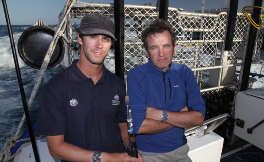 Dr. Charlie Huveneers and Mark Evans ready to tag a great white shark.