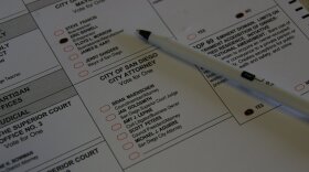 A "ballot selfie" posted on Twitter by Kelly Davis, May 16, 2018.