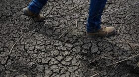 Fourth-generation rice farmer Josh Sheppard walks across the dried-up ditch at his rice farm in Richvale, Calif., May 1, 2014. 