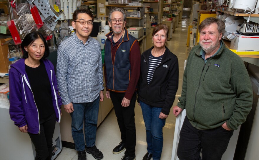Salk Institute professor Ronald Evans (center) is shown with the team of researchers that interrupted sperm development in mice. Undated photo.