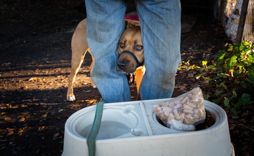 Ciha says his dog, Shredder, hates the recurring moves: "I can leave him all day in the tent and he's fine, but he freaks out every time we have to move."