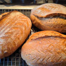 Hands-on Sourdough Bread Workshop with Fermenters Club