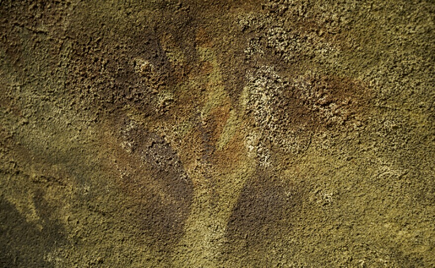 Newly discovered rock art with both negative and positive handprints, the first of their kind to be described in the Sangkulirangg Karst blocks. This remote cave is home to unique art that will ensure the protection of this area for generations to come. Borneo.