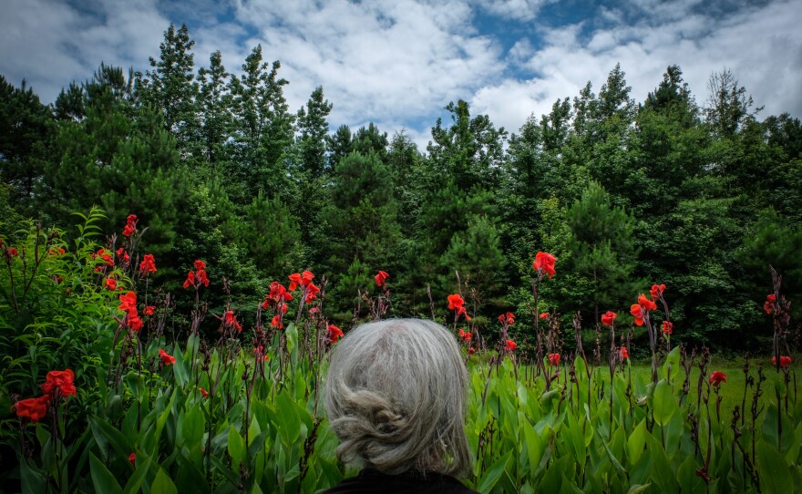 The photographer's aunt Jean stands in front canna lilies in Dalark, Arkansas.