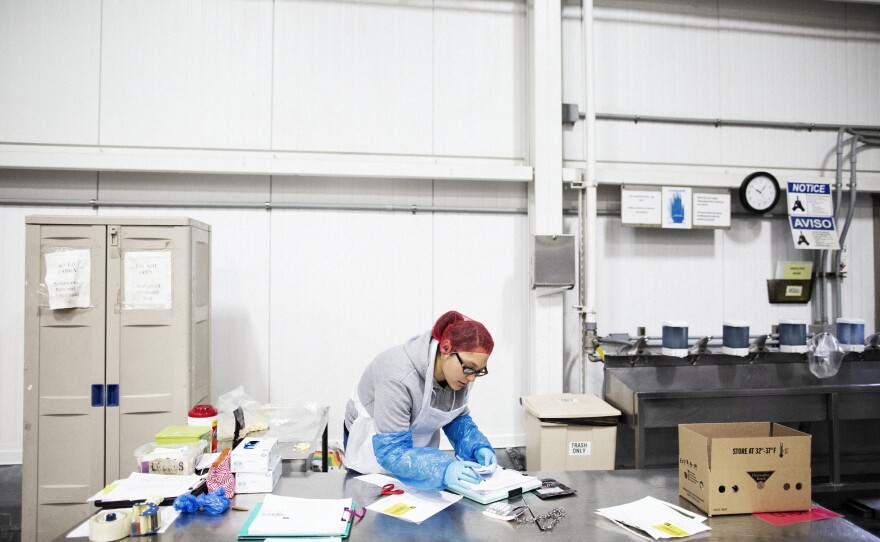 A worker at the plant pulls garlic samples for testing. The Christopher Ranch company saw demand for its garlic grow amid U.S. tariffs on Chinese garlic.