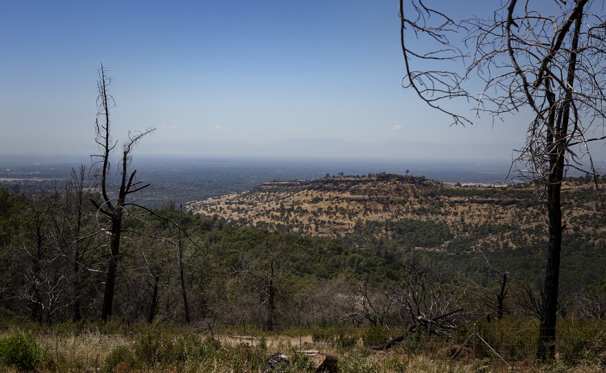 A view of the canyon in Magalia on Aug. 1. Only a handful of homes in nearby Paradise have been rebuilt since the Camp Fire in November 2018.