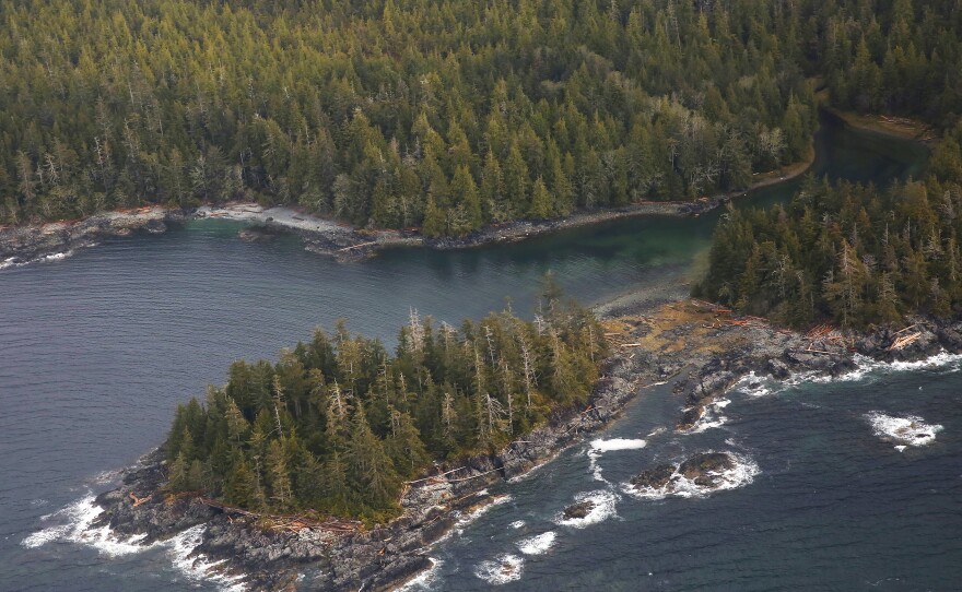 The Tongass National Forest is home to spruce, hemlock and cedar trees that have been a source of timber for the logging industry. Much of the Tongass remains closed to logging because of the 2001 Roadless Rule.