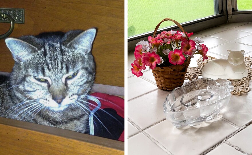 Left: Marie Hernandez's cat, Fina. Right: Hernandez displays a glass cat figurine and a water dish in the kitchen bay window where Fina loved to hang out.