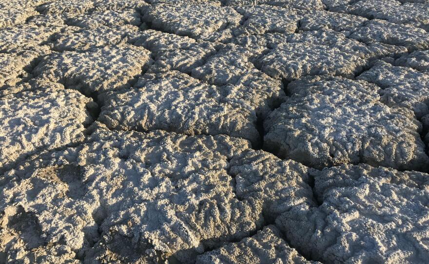 This crust of dust and salt was once underwater, but when disturbed, the material can easily get picked up by desert winds in the Imperial Valley in this photo taken on Feb. 25, 2019.