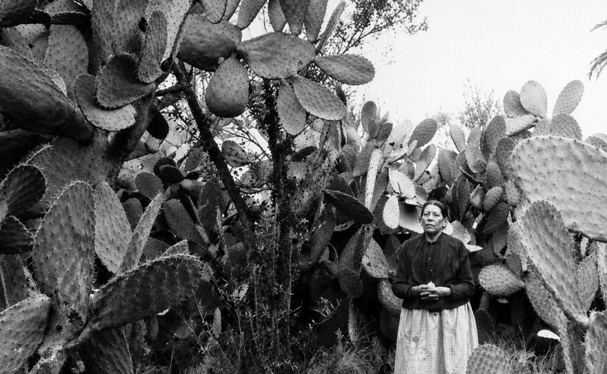 Pictured Juanita de Dios Machado Wrightington was a pioneer, a midwife, healer, nurse, and community leader. She helped build the foundation of a growing San Diego during the 1800s.