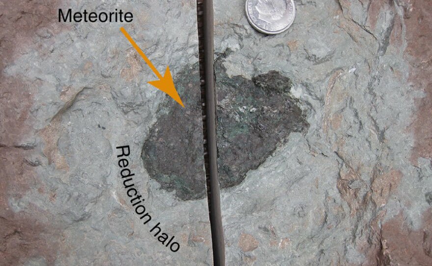 The meteorite is 3.1 by 2.6 by 0.8 inches large. It is surrounded by a gray reduction halo, in the otherwise red limestone. Oxygen was consumed when the meteorite weathered on the seafloor. The coin in the image has a diameter of just under 1 inch.