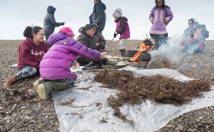 While her grandchildren roast marshmallows, Piuyuq Enoogoo cooks a pot of seal meat over a fire made from heather gathered on the nearby tundra. The family was spending a few days of camping and hunting near Arctic Bay.