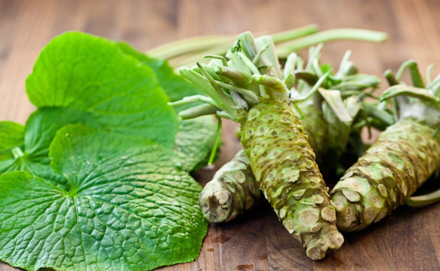 Wasabi plant