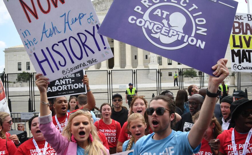 Crowds celebrated outside the Supreme Court on June 24, 2022, after the court overturned the constitutional right to an abortion.