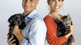 Brian Strong holding a Shih-Tzu puppy named Stabler, and Karie Van Audal with a shy cat named Katy.