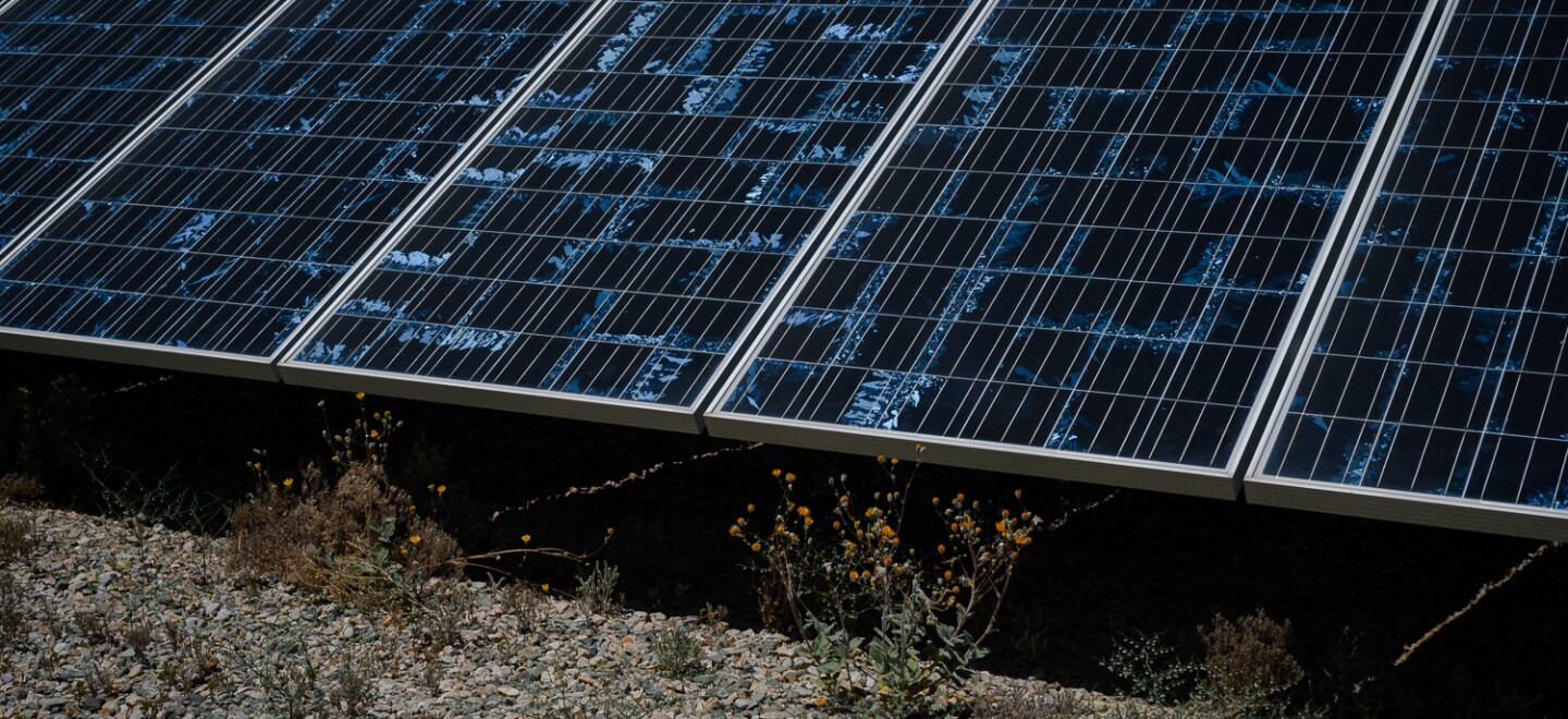 Flowers sprout from the dirt beneath an Imperial Irrigation District solar farm outside Niland in Imperial County on May 7, 2024. The facility was one of dozens of solar projects approved on agricultural land.