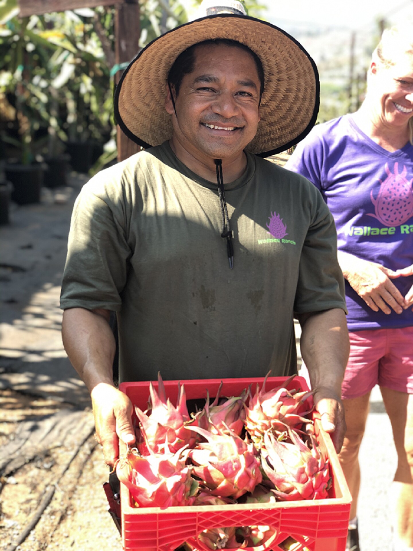 In this episode, we learn all about Pitajaya, research the best growing methods and how the plants are grown for commercial production and in backyards. 