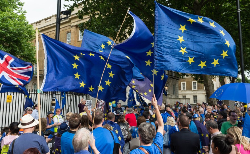 Hundreds of pro-EU supporters gather on Whitehall on the first anniversary of the Brexit referendum to protest against the process of Britain leaving the European Union.