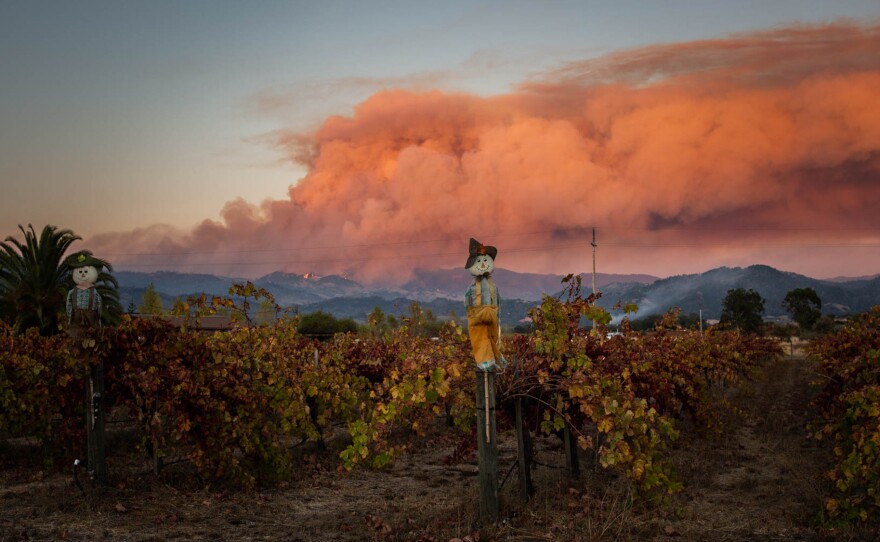 Outside of risks from the fire's heat — and any health risks related to a long-term power outage — the main health concern in wildfire conditions is smoke, which produces particulate matter that can penetrate deep into the lungs, increasing the risk of respiratory diseases and asthma, as well as heart problems.