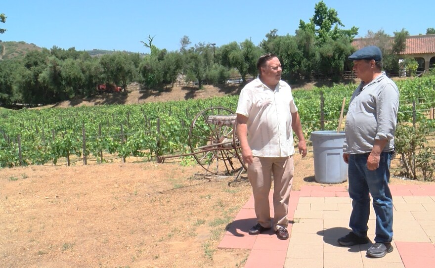 KPBS reporter John Carroll is shown speaking with Clark Knapp in the vineyard on June 27, 2024.