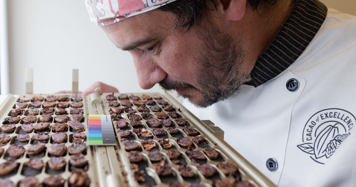 A chocolate laboratory in Italy will be good for chocolate eaters — and farmers