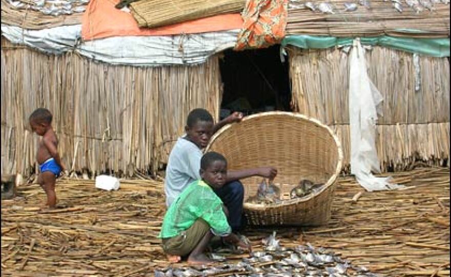 Fish is the main source of food for people living on the islands in Lake Upemba.  The islands are almost like swamps.  The ground sinks under your feet and is not very good for growing vegetables.