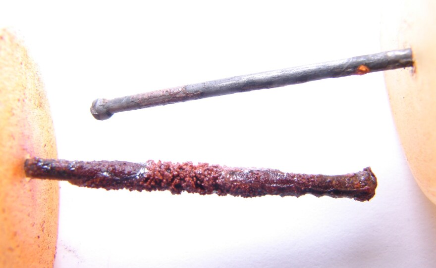 A nail after one month of exposure to Detroit water (above) and Flint River water (below) Each nail was rinsed in flowing water before taking the picture.