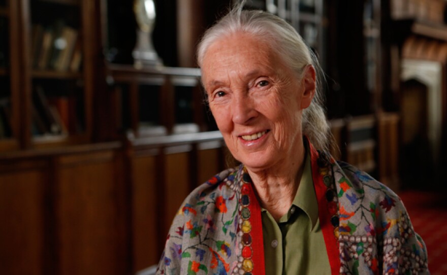 Dr. Jane Goodall