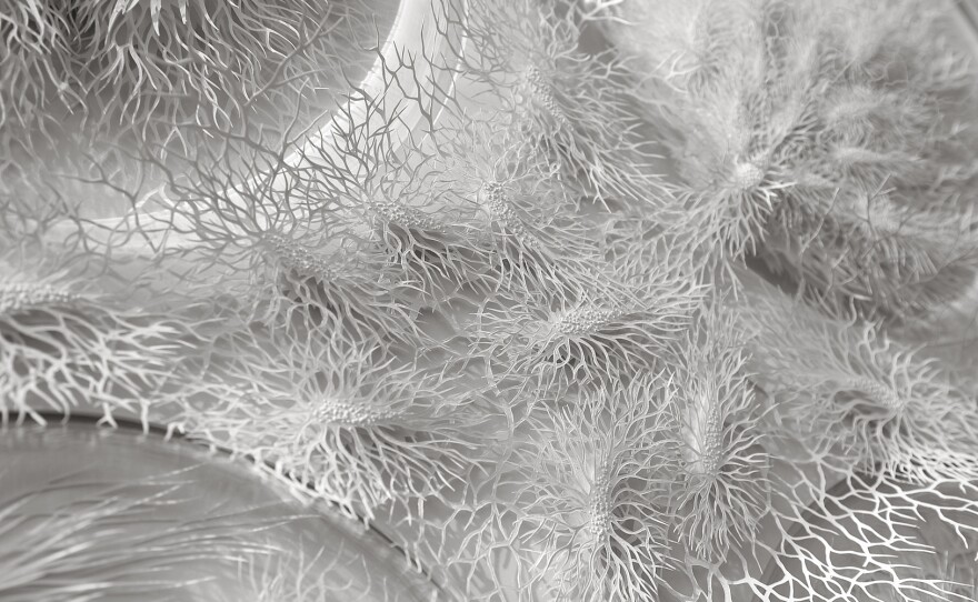 A detailed view of Outbreak shows the delicate forms Brown cut by hand. He says he works with paper because it "embodies the paradoxical qualities that we see in nature: its fragility and durability, its strength and delicacy."