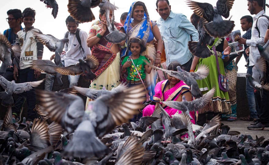 Visitors to Mumbai feed pigeons near the Gate of India. The city's residents are sharply divided: There's the pro-pigeon feeding contingent and the anti-pigeon feeding contingent. The latter group were heartened by a government ban in July on feeding pigeons at designated spots in the city. After public protests, that ban was modified to sanction four locations for tossing grain to the birds.