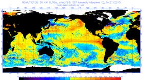 A map shows the warmest ocean temperatures in red and unusually cold anomalies in blue, May 21, 2015.