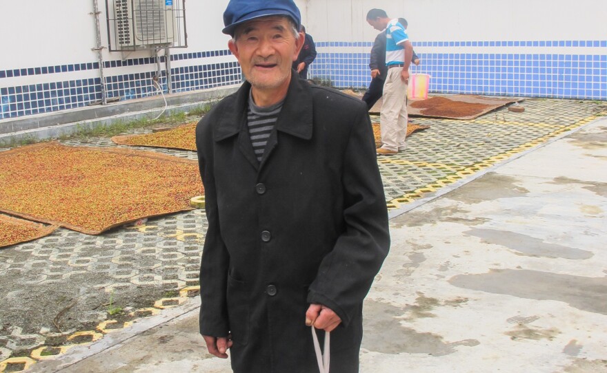 A villager brings in a bag of freshly picked schisandra berries to the cooperative sun-drying area.