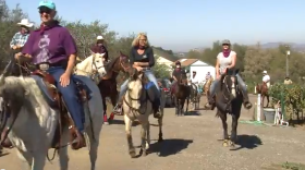 Horseback riders with Ramona Trails Association take a wine tasting tour in Ramona on Oct. 27, 2013.