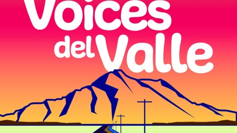 Voices del valle cover art