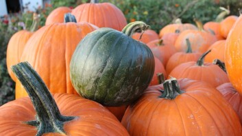 Del Mar Pumpkin Station
