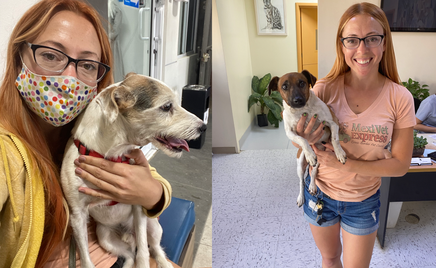 Anna Ginsky with some of the pets she takes to Tijuana for more affordable veterinary care is pictured in these photos taken in 2020.