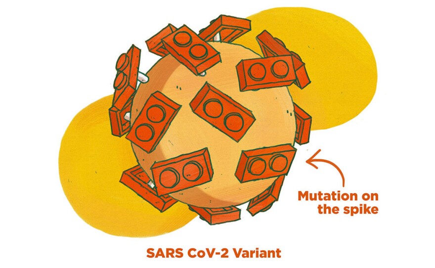 What's Going On With All These Coronavirus Variants? An Illustrated Guide