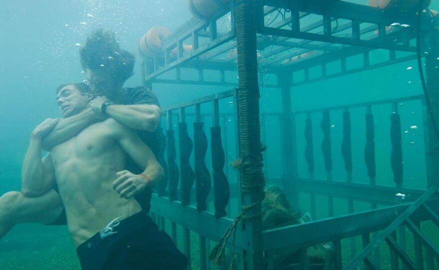 "Shark Night 3D"