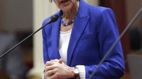 In this June 29, 2015 file photo, state Sen. Hannah-Beth Jackson, D-Santa Barbara, addresses the state Senate at the Capitol, in Sacramento, Calif. 