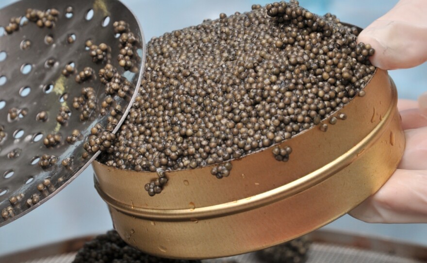Caviar — an expensive delicacy that's not much to look at.
