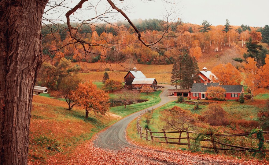 Autumn in Vermont, 2018.