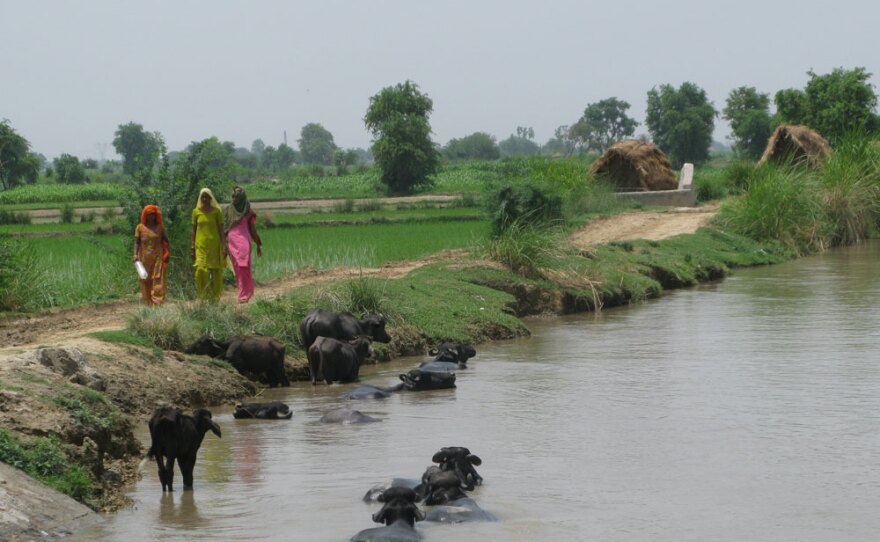 Village women walk along a river in the rural Greater Noida area near New Delhi. The area's marriage traditions are coming under increasing strains as young people seek to marry outside caste boundaries.