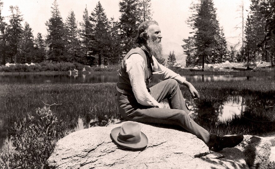 John Muir was a Scottish-born American naturalist, engineer, writer and pioneer of conservation. He campaigned for preservation of U.S. wilderness including Yosemite Valley and Sequoia National Park, and founded The Sierra Club.