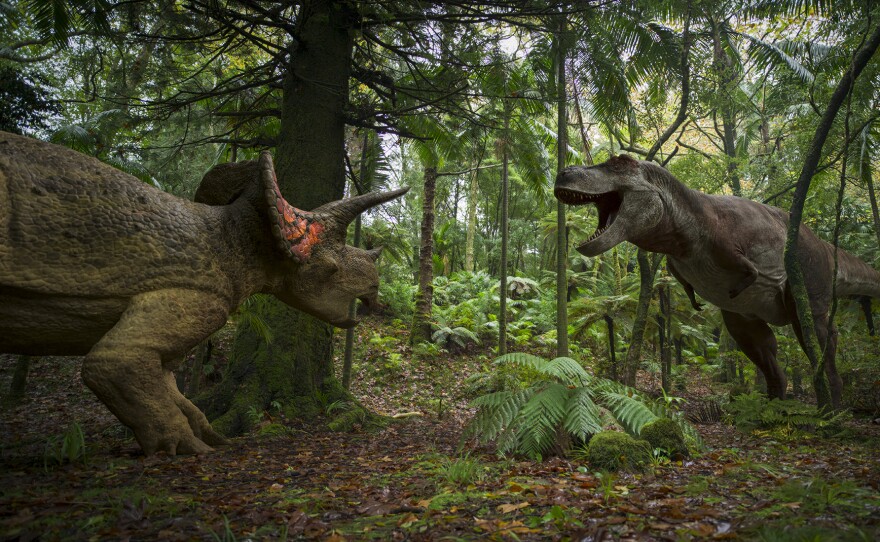 Shows: VFX - Landscape. A Tyrannosaurus rex (right) faces off against a Triceratops(left) in a forest