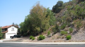 This home's location next to a brush covered hill and the tall trees that surround it make the house vulnerable to fires.