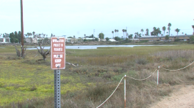 The Famosa Slough is shown looking from West Point Loma Boulevard on Sept. 26, 2025.