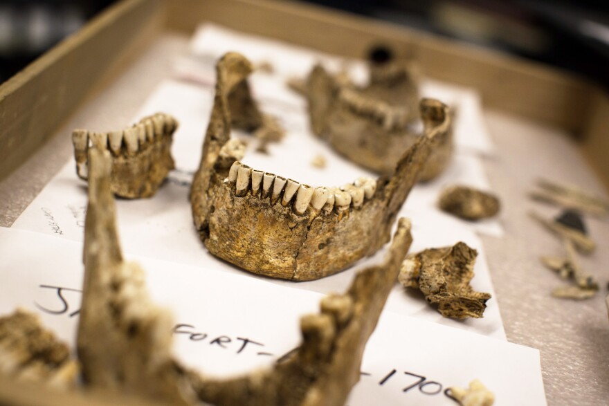 The teeth and mandibles of four male skeletons unearthed in Jamestown, Virginia, now reside in Washington, D.C., at the Smithsonian's museum of natural history. Researchers believe they've now puzzled out the identities of the men: high-status leaders from the first few years of the Jamestown settlement.